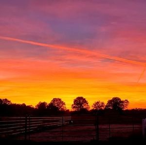 Meet your Posher, Melva